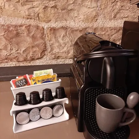 Gattapone 9 * Gubbio