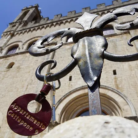 Gattapone 9 * Gubbio